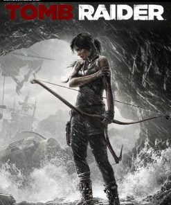 Купить Tomb Raider PC (Steam)