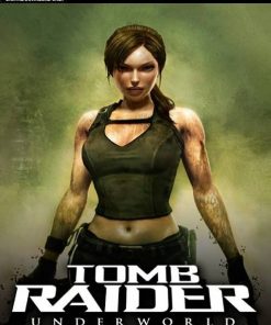 Купить Tomb Raider: Underworld PC (Steam)