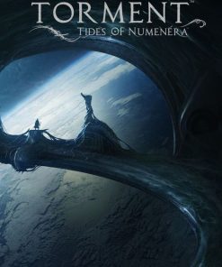 Купить Torment: Tides of Numenera PC (Steam)