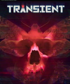Купить Transient PC (Steam)