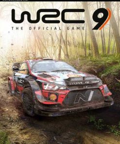 Compre WRC 9 FIA World Rally Championship PC (Steam) (Steam)