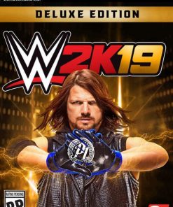 Купить WWE 2K19 Deluxe Edition PC (EU & UK) (Steam)