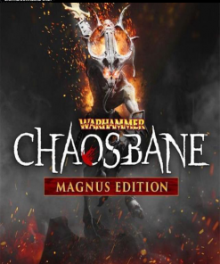 Купить Warhammer Chaosbane Magnus Edition PC (Steam)