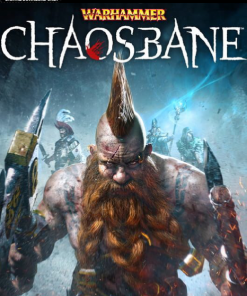 Купить Warhammer Chaosbane PC (Steam)