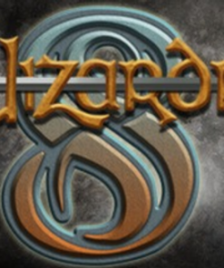 Купить Wizardry 8 PC (Steam)