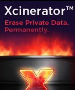 Купить Xcinerator PC (Steam)